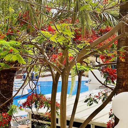 Castle Harbour Melanie'S Apartment By Lovetenerife Los Cristianos  Bagian luar foto